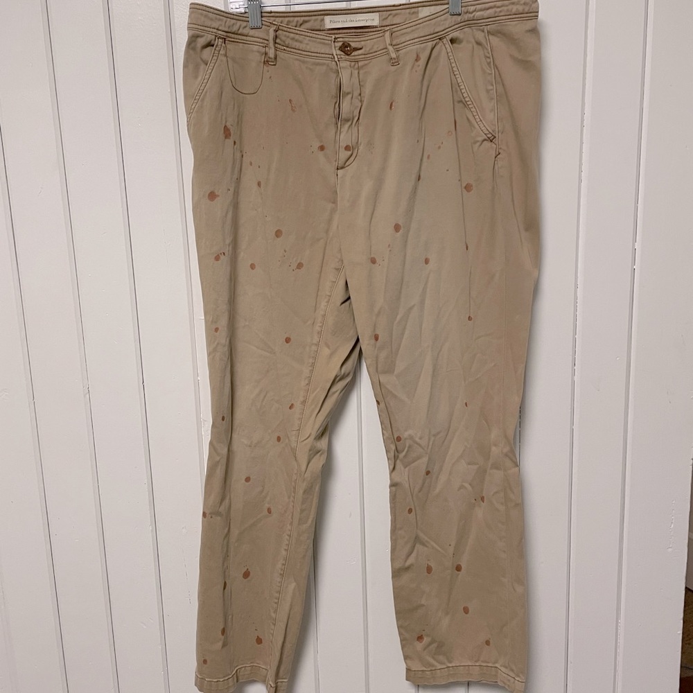 Anthropologie Khaki Pants with Design